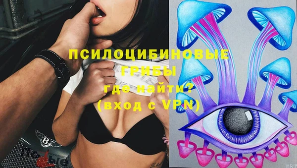 индика Богородицк